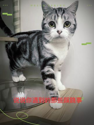 总是睡着时会感觉到很清醒但是能看到阿飘 有没有哪里可以解梦的我靠这些死鬼老缠着我看我好欺负么