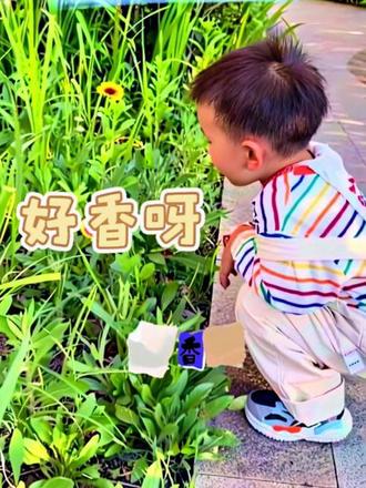 可可爱爱五颜六色活蹦乱跳的一天#创作者中心 #创作灵感 #小朋友的世界简单又丰富 #幼儿园里欢乐多 #幼儿园的小可爱