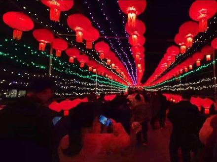 #元宵节逛灯会 (2026无锡迎春灯会)03.03