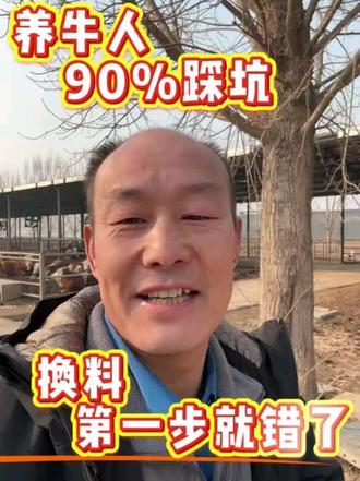 #热门养牛人最头疼的事:一换新饲料,牛就拉稀、不吃料!#养牛 #育肥牛 #养牛技术 #科学养牛