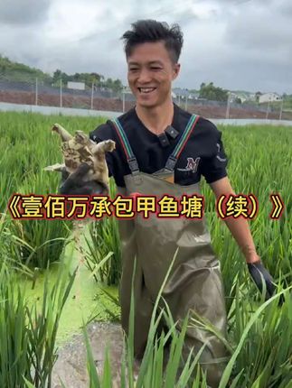#户外#巧哥我们村有希望 #巧哥承包鱼塘 这下麻烦了合同不见了,老板还欠我1180个甲鱼,没有合同认一千个甲鱼都不行,等他们股东就醒了再谈这个事……
