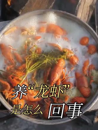 一条视频告诉你“养龙虾”是什么 #系统崩溃 #养龙虾 #openclaw #Ai #龙虾