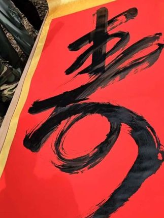 #沈巍#现场拍摄 第一视角 沉浸式观看 寿