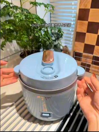 #迷你电饭煲 #微压电饭煲 #超便宜超划算