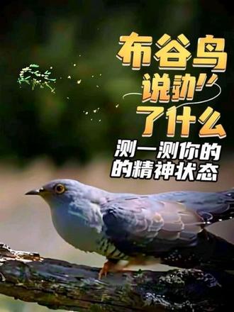 测一测你的精神状态👇
如果你听到布谷鸟叫 第一反应是:
A. 阿公阿婆 割麦栽秧(焦虑型)
B. 布谷=不哭(治愈型)
C. 布谷=火锅搞起(彻底放飞型)
D. 啥鸟啊 吵死了(真实型)
我选C 你呢?
#布谷鸟 #心理测试 #搞笑 #今日份快乐