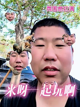 龙头礁露营地小草原不见了变成耕地了不会影响赶海吧#赶海 #赶海日常 #户外