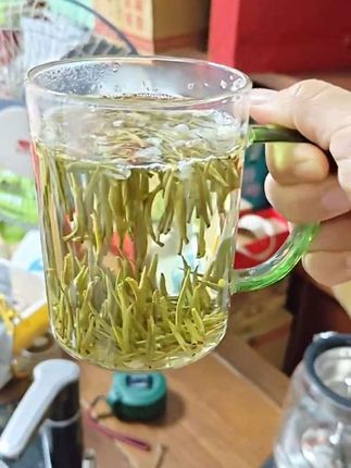#茉莉花茶 淡雅清爽甜润好喝好看
