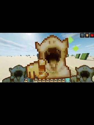 新的不死图腾#我的世界