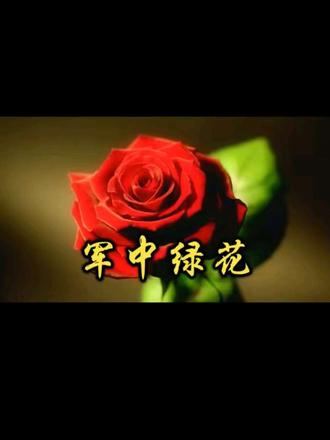 #dou+小助手 #老部队影像资料 #退役军人彩视创作中心 老有所学、老有所乐!