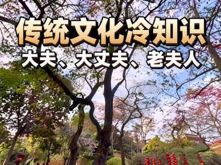 为啥女人叫伴侣为“丈夫”?男人喊岳父“老丈人”? #传统文化 #丈夫 #国学文化