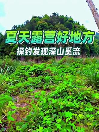 探钓发现夏天露营好地方#带你去看深山里的溪流 #露营好地方 #大自然的溪流