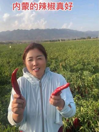#我要上热们 #抖音助农扶农