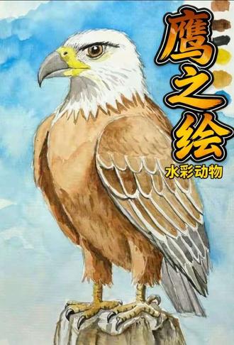 简单易学的水彩老鹰画法 #自学画画打卡 #跟着抖音学画画 #画画 #零基础学画画 #水彩