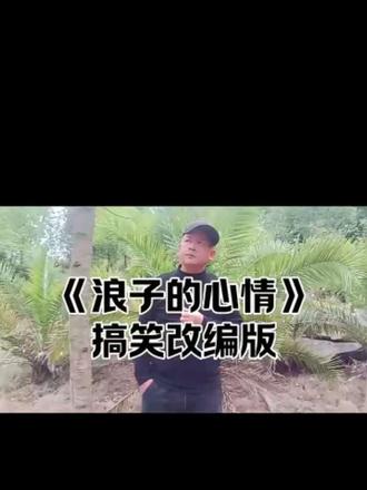 (浪子的心情)搞笑改编版 #改编歌曲 #百听不厌