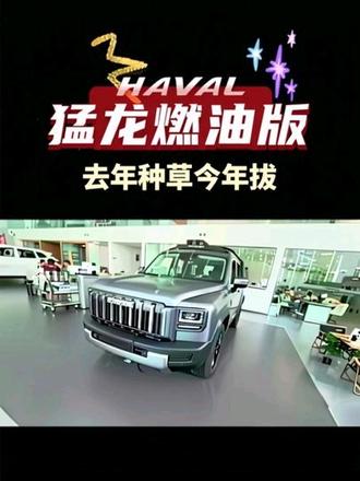 去年种草今年拔 #全能型硬派越野车 #敢开的越野方盒子车型 #城市与越野两用车型 #猛龙燃油版