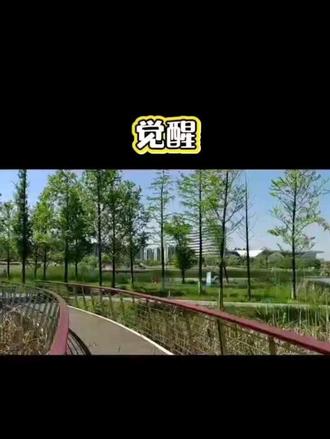 觉醒 一个觉醒前后差别有多大?#认知提升 #思维认知 #素质与教养 #综合能力 #人际交往的智慧
