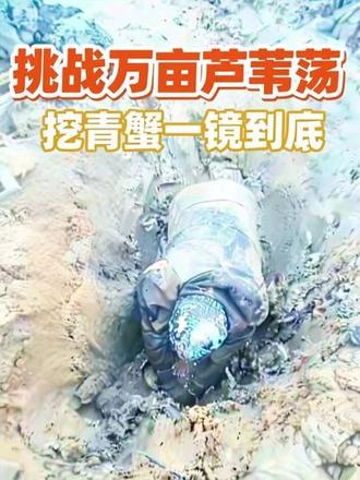 赶海不是为了收获,而是为了那一刻的自由和快乐!#三农 #赶海 #青蟹 #上热门 #户外