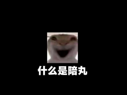 什么是陪丸?#观夏俱乐部#陪玩日记#王者荣耀