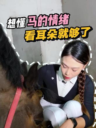 看懂马儿的耳朵能避免很多危险哦 骑马新手必看!想知道马的情绪?看耳朵就够啦~
#马术#马术运动#马术教学#昆山#昆城马术