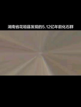 湖南省花垣县发现的5.12亿年前化石群。揭示了地球寒武纪软躯体化石群,揭示了显生宙第一次生物大灭绝(辛斯克事件)的关键证据。