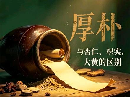 厚朴的作用,它和杏仁,枳实,大黄的区别 厚朴破气散满,行气导滞#真实生活分享计划 #中医#健康科普