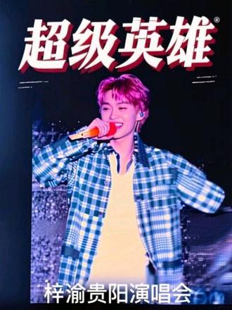 做我最骄傲的超级英雄 #梓渝贵阳演唱会 #游点意思 #yuni #极速小鱼