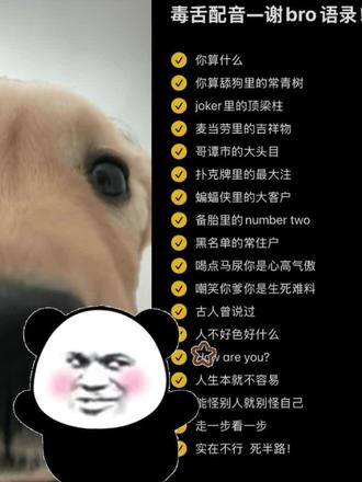 和 @意难平 一起 #合拍 #搞笑#配音 #抽象 #骂人是不对的 大家试试这个文案骂人,贼拉爽,贼解压!嘿嘿🫣