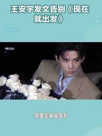 王安宇发文告别《现在就出发》
