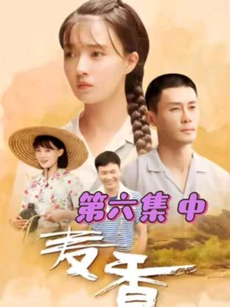 #麦香 #电视剧 陈二兰逼云宽结婚👰🏻