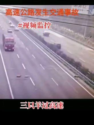 三只羊勇闯高速。。。在高速公路上遇到事故时,正确的处置步骤是“车靠边,人撤离,即报警”。九字真言是避免二次事故、保障安全的核心原则。