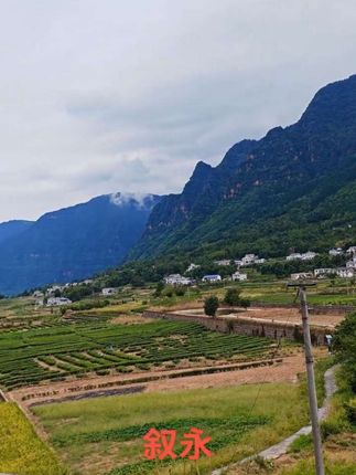 还是那座山还是那片地,同样的画面只是种地的人换了一代又一代。听的哪里是音乐,听的是即将离我们越来越远的童年和青春 #山里娃 #山里红