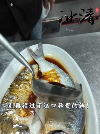 春潮起 鲥鱼肥 别错过这口矜贵的鲜