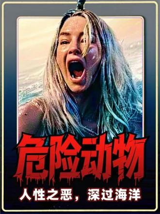 《危险动物》:人性之恶,深过海洋 如果鲨鱼惊悚的尽头是人性深渊,2025年的《危险动物》便是最佳注脚。这部电影将阳光沙滩的海滨假日,扭转成一场源于人类恶意、令人窒息的心理围猎。
影片核心设定极具颠覆:致命的并非海底鲨鱼,而是痴迷鲨鱼的渔船船长塔克。他将游客骗上船,目的竟是将其作为“祭品”投入海中,并冷静记录全过程。真正的恐惧,自此源于同类的凝视。
男主角杰·科特尼的表演是全片灵魂。他塑造的塔克,外表热情迷人,内在却冷静癫狂,其极致的反差魅力,让每一帧和煦微笑都让人脊背发凉。而女主角泽弗(哈西·哈里森 饰)的绝地反击,则提供了全程高能的智力对抗与反杀快感,彻底打破了“待救者”的刻板印象。
导演肖恩·伯恩用真实鲨鱼实拍与明丽压抑交织的镜头语言,在美好假象下持续累积不安。它不满足于浅层的惊吓,而是犀利叩问:当最致命的捕食者与你同桌共饮,文明的外衣究竟有多脆弱?
总而言之,这是一部反派塑造尤为出彩、完成度颇高的惊悚佳作。它用生猛的类型片外壳,包裹了一个关于恶意与生存的现代寓言,值得所有寻求深度战栗的观众体验。
#电影解说 #一口气看完系列 #惊悚 #鲨鱼