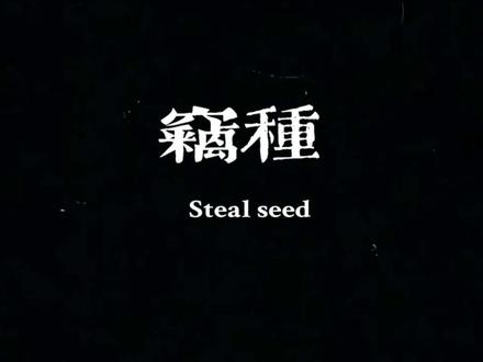 #小组作业国家安全教育视频作业#国家安全 #大学生 #走私犯罪 #亲本种子原创 @小闫