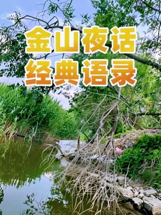 金山夜话经典语录 #上热搜#金山夜话#抖音推广#vlog十亿流量扶持计划