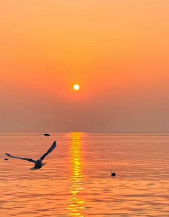 人生就是一场单机游戏#人生游戏#提升认知思维