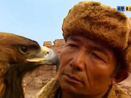 #动物科普 涨知识!原来熬鹰过程是这样的