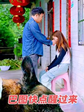 巴图快点醒过来#狗狗故事 #看家护院 #我的乡村生活 #家庭伴侣犬 #忠诚卫士