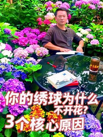 你家绣球为什么不开花?3个核心原因,小K一次讲透 绣球修剪口诀:6-7月重剪塑形,8-9月酌情轻剪,区分品种看地域,光肥均衡给到位,满足春化条件,严防冻害。
Hydrangea Pruning Mantra:
Heavy prune and shape from June to July;
Light trim as needed August through September.
Adjust for varieties and local regions;
Keep sunlight and fertilizer well balanced.
Meet the demands of vernalization;
Stay fully guarded against frost damage.
#绣球花 #绣球养护 #花园生活 #养护小知识 #庭院植物@抖音创作灵感 @抖音小助手