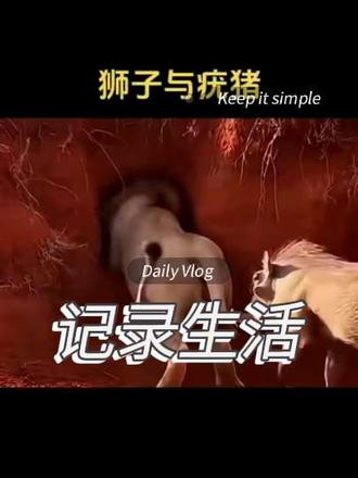@DOU+小助手 !#搞笑动物的真实视频 狮子探疣猪洞被顶进洞反杀视频分享!#神奇动物看这里
