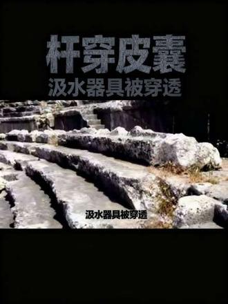 #每天跟我涨知识 #统帅超省气LE5热水器 ##统帅超省气LE5热水器 #创作人计划 #淘宝闪购全速入场F1