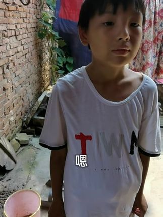 金燕子(送温暖)