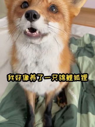 星期一和礼拜五