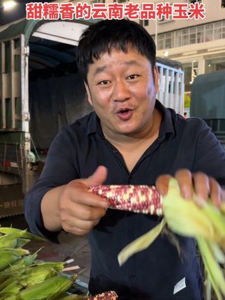 小花糯玉米 又甜又糯的云南老品种玉米,老人,小孩都可以吃#优质农产品