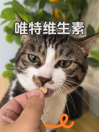 这一瓶200片,鸡肉羊奶粉打底的,猫咪爱吃喂起来也方便#养猫新手 #猫咪维生素 #猫咪泪痕 #猫咪掉毛
