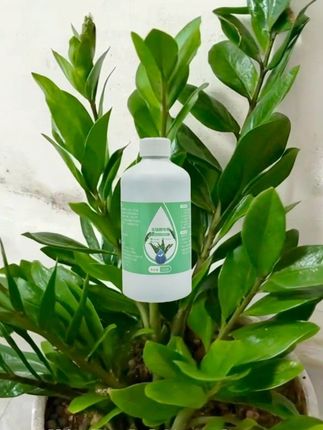#种植小技巧 #农业种植技术 #农资肥料