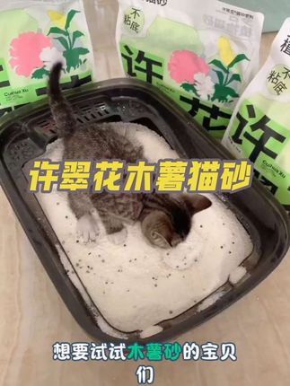 我给我家小猫咪用的就是许翠花木薯猫砂#宠物用品#萌宠好物#许翠花#多合一植物木薯猫砂#许翠花植物猫砂