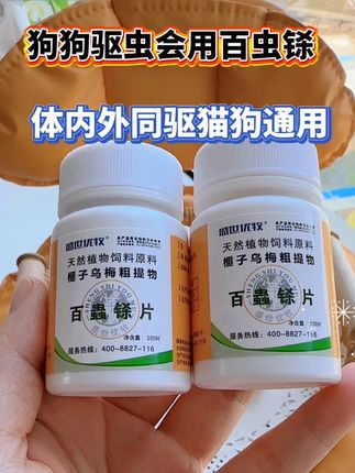 #养狗经验分享 #养狗人 #养宠进阶指南 #养狗小知识