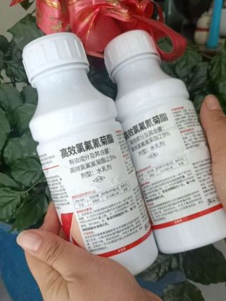 高效氯氟氰菊酯#农业种植 #高效氯氟氰菊酯#功夫菊酯##农业种植 #新农人计划