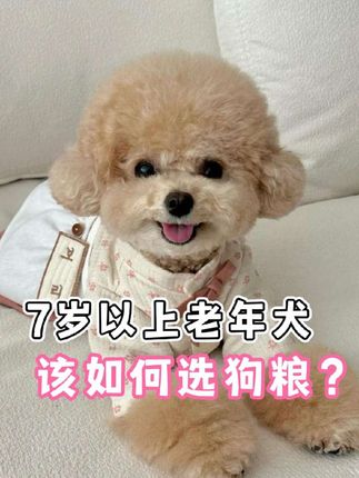 7岁以上老年犬狗粮该怎么选? #老年犬 #狗狗 #狗粮 #狗粮推荐 #科学养宠攻略